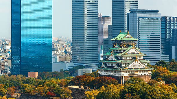Osaka City Tour - Image 2